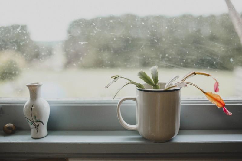 Tử vi 12 cung hoàng đạo thứ Hai ngày 15/2/2021: Cự Giải tham vọng, Nhân Mã bận rộn-3