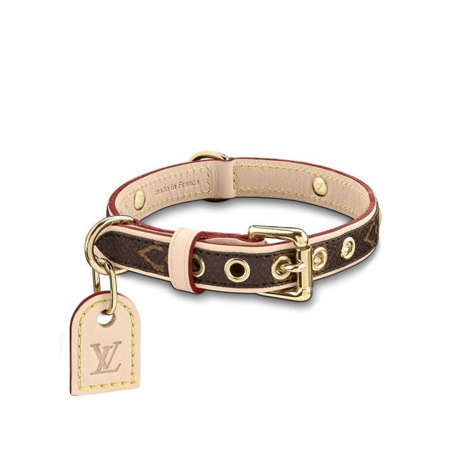 Rosé (BlackPink) có sức hút cỡ nào?-6