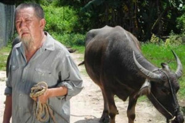 Kiều Trinh: Bị xâm hại năm 6 tuổi, khốn khổ vì 3 người đàn ông hành hạ-9