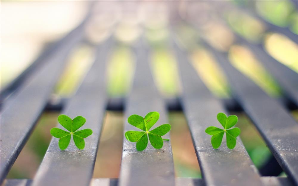 Tử vi 12 cung hoàng đạo thứ Ba ngày 16/2/2021: Sư Tử phân vân, Ma Kết chủ động-1