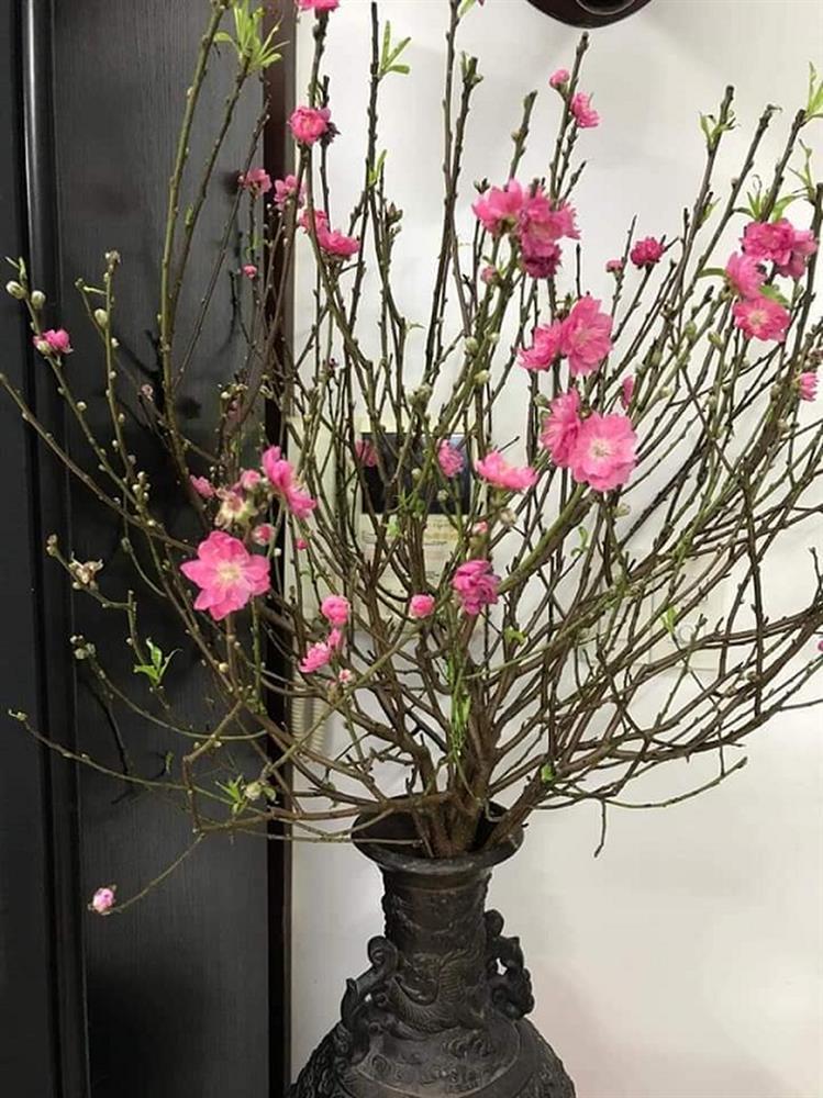 Vị khách không mời cùng lời tố: Anh bỏ rơi mẹ con tôi khiến cô vợ phải ra chiêu độc-2