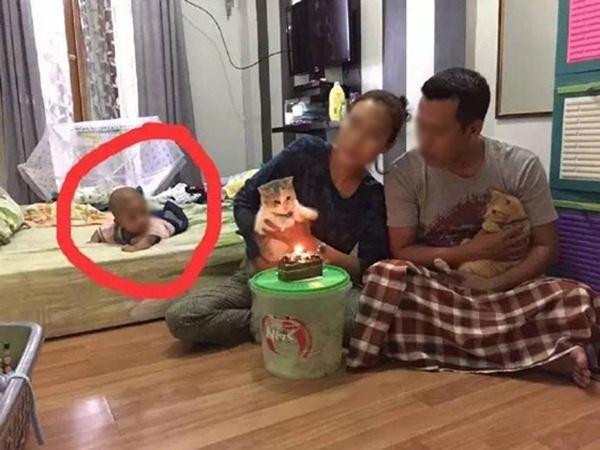 Cười ngất với những khoảnh khắc khiến bạn bỗng nhiên cảm thấy chỉ là con ghẻ của bố mẹ-7