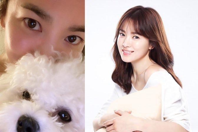 Song Hye Kyo được các thương hiệu thời trang săn đón ở tuổi 40-8