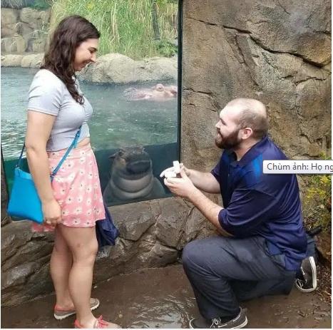 Check-in sang chảnh ngờ đâu gặp ngay thánh ké chiếm hết spotlight-1