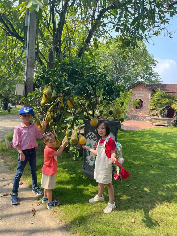 Những ngày về Việt Nam của con trai Ngô Kiến Huy-15