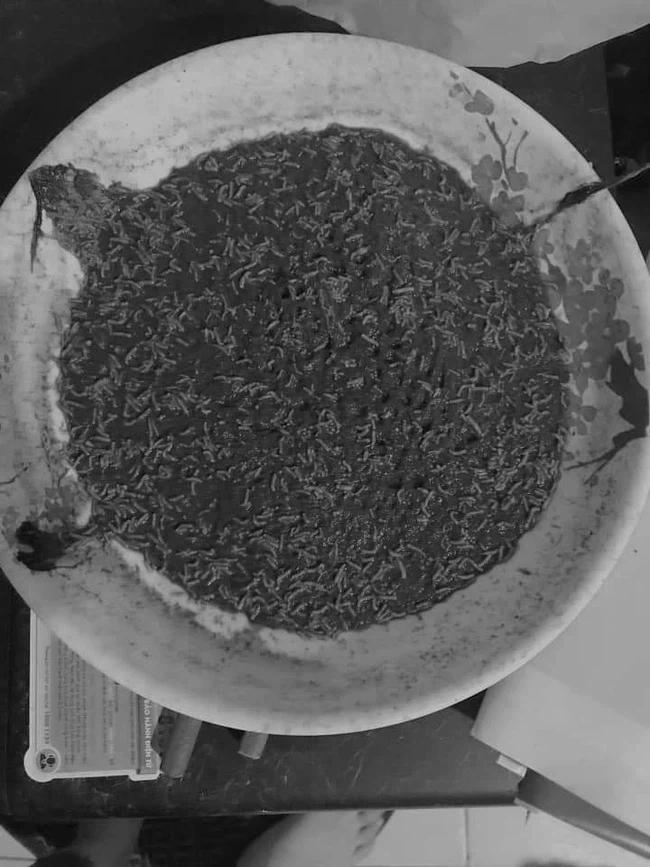 Về quê ăn Tết bỏ quên đĩa rau, cô gái điếng người ngày quay lại-1