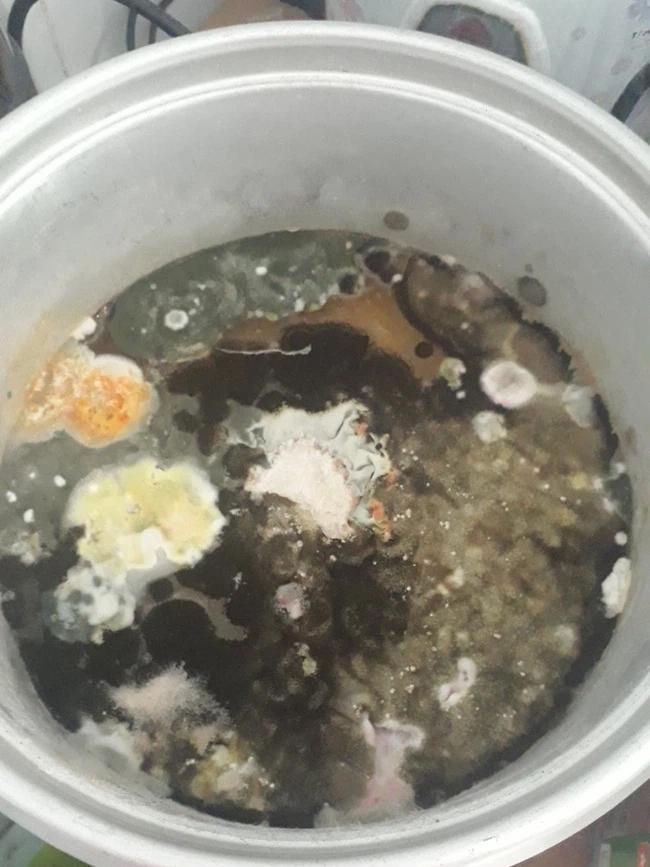 Về quê ăn Tết bỏ quên đĩa rau, cô gái điếng người ngày quay lại-2