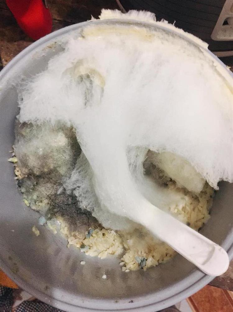 Về quê ăn Tết bỏ quên đĩa rau, cô gái điếng người ngày quay lại-3