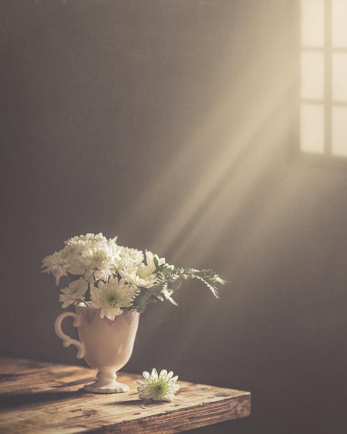 Tử vi 12 cung hoàng đạo thứ Năm ngày 18/2/2021: Xử Nữ thẳng thắn, Thiên Bình thờ ơ-3