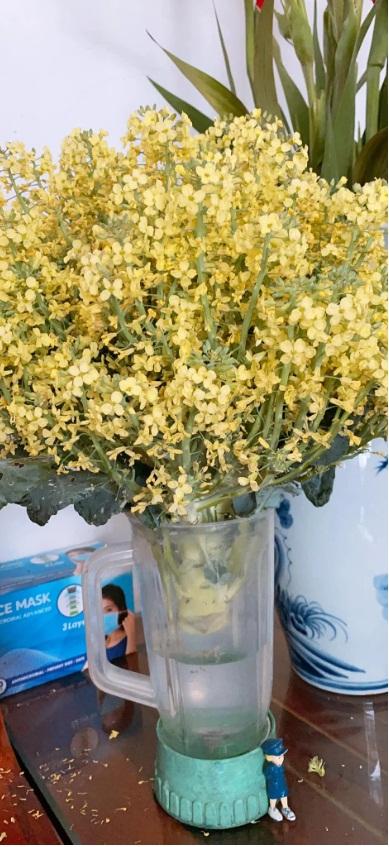 Khoe bó hoa rực rỡ chỉ đáng chục nghìn đồng vì quên mà có, hội chị em đua nhau học mót-1