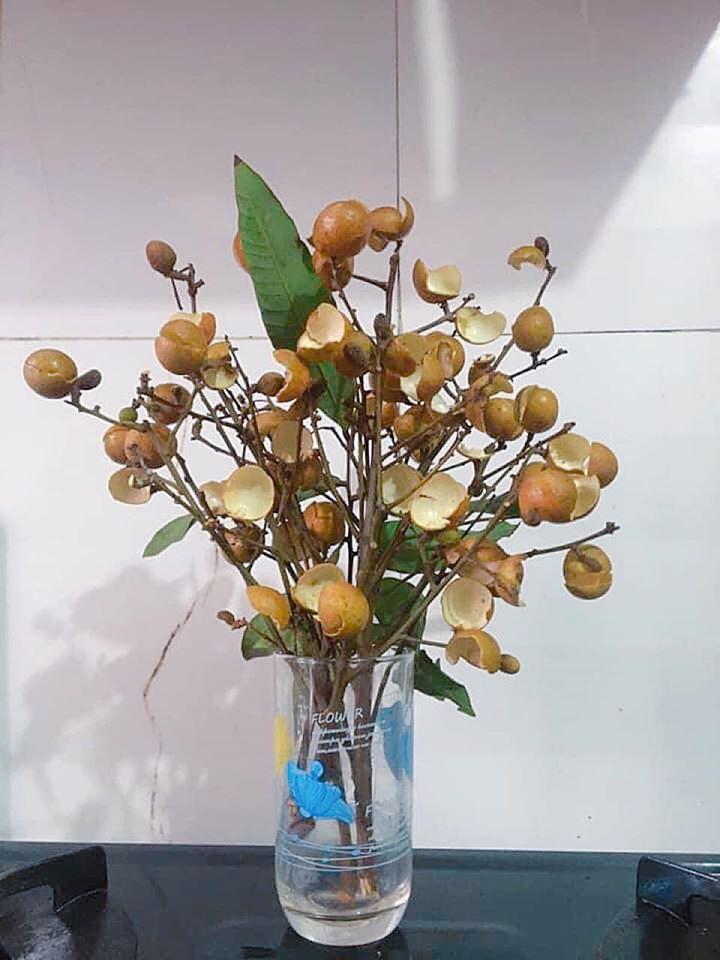 Khoe bó hoa rực rỡ chỉ đáng chục nghìn đồng vì quên mà có, hội chị em đua nhau học mót-7