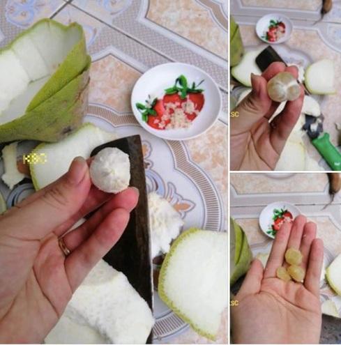 Bổ quả bưởi chưng Tết, cô gái ê chề vì tin lời người bán hàng em ngon lắm-3