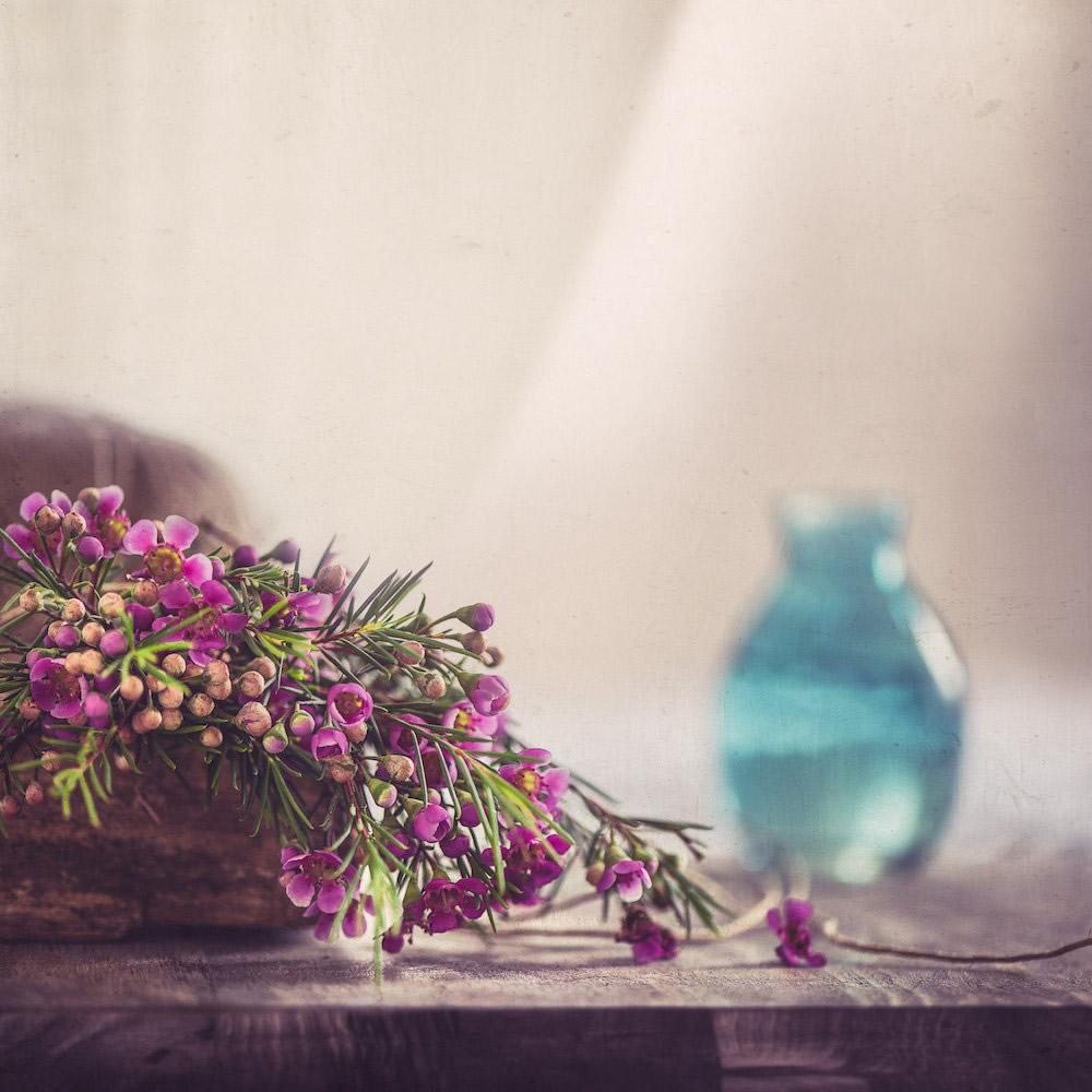 Tử vi 12 cung hoàng đạo thứ Sáu ngày 19/2/2021: Bạch Dương thiếu kiên nhẫn, Song Ngư tham vọng-1