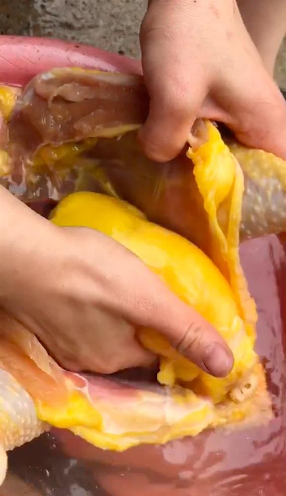 Những pha mổ gà đi vào lòng đất, tưởng vớ của ngon ai ngờ nhận cú lừa-2