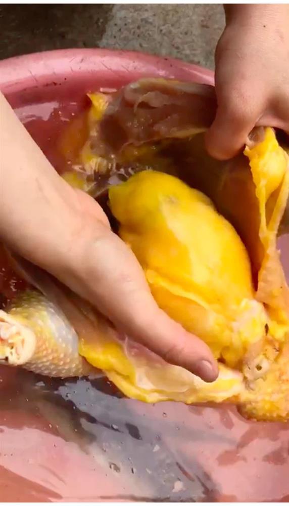Những pha mổ gà đi vào lòng đất, tưởng vớ của ngon ai ngờ nhận cú lừa-1