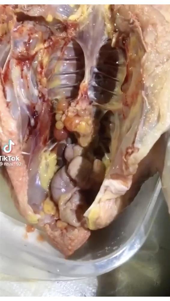 Những pha mổ gà đi vào lòng đất, tưởng vớ của ngon ai ngờ nhận cú lừa-4