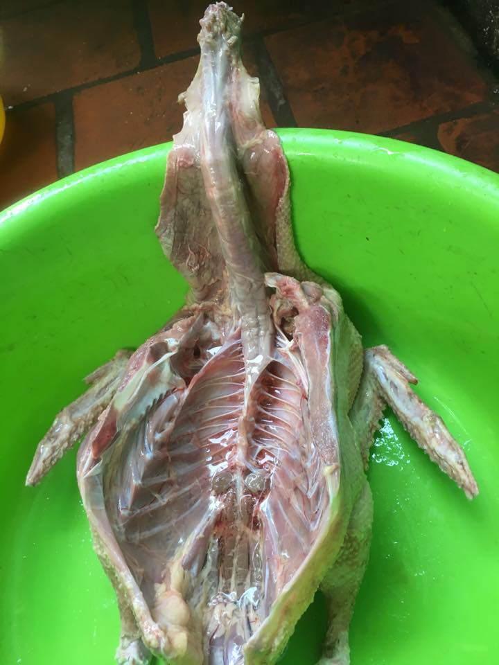 Những pha mổ gà đi vào lòng đất, tưởng vớ của ngon ai ngờ nhận cú lừa-8