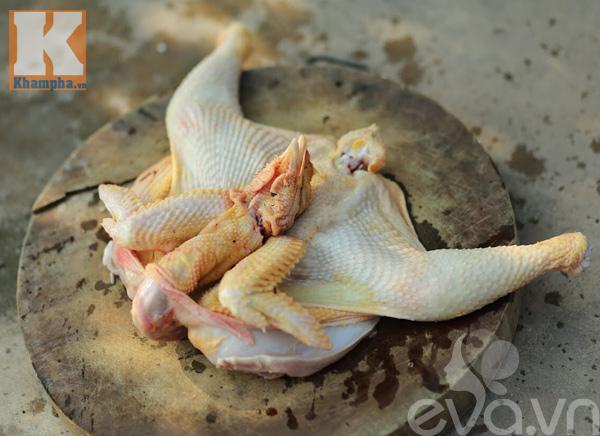 Những pha mổ gà đi vào lòng đất, tưởng vớ của ngon ai ngờ nhận cú lừa-9