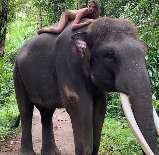 Con gái nhà cựu vô địch quần vợt khỏa thân cưỡi voi gây tranh cãi-1