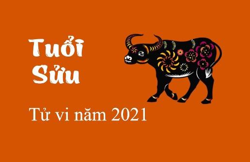 Tuổi Sửu năm Tân Sửu 2021 sẽ có quý nhân nào phù trợ?-1