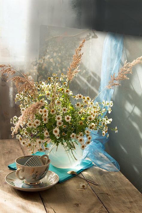 Tử vi 12 cung hoàng đạo thứ Bảy ngày 20/2/2021: Kim Ngưu nhiệt huyết, Bảo Bình ấm ức-1