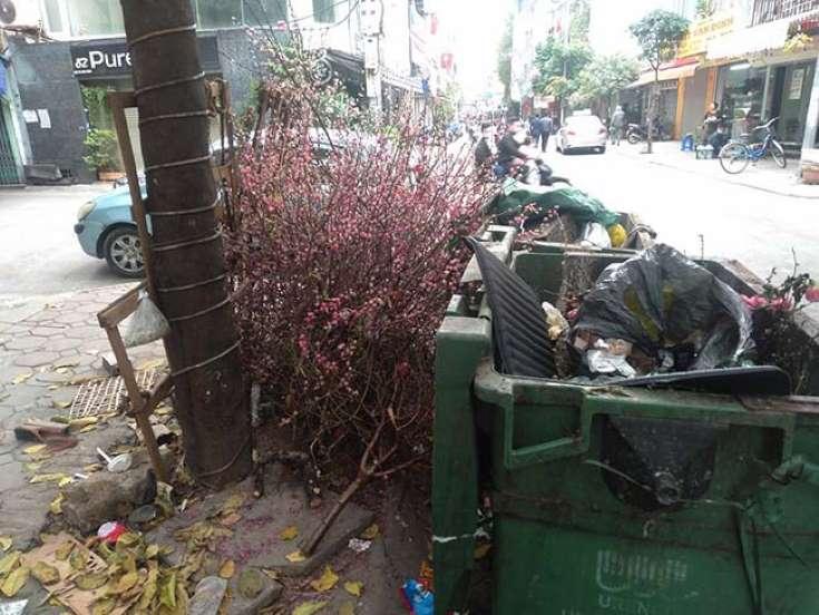 Màn chặt đào đầy ý thức được dân mạng hết lời tán thưởng, ai cũng cần học theo-2