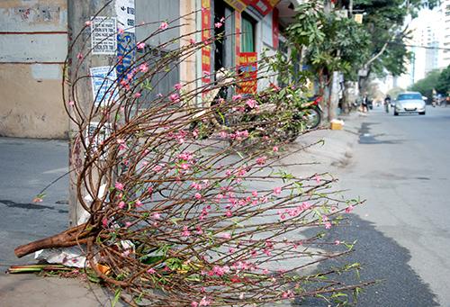 Màn chặt đào đầy ý thức được dân mạng hết lời tán thưởng, ai cũng cần học theo-3