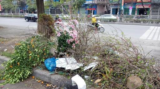 Màn chặt đào đầy ý thức được dân mạng hết lời tán thưởng, ai cũng cần học theo-4