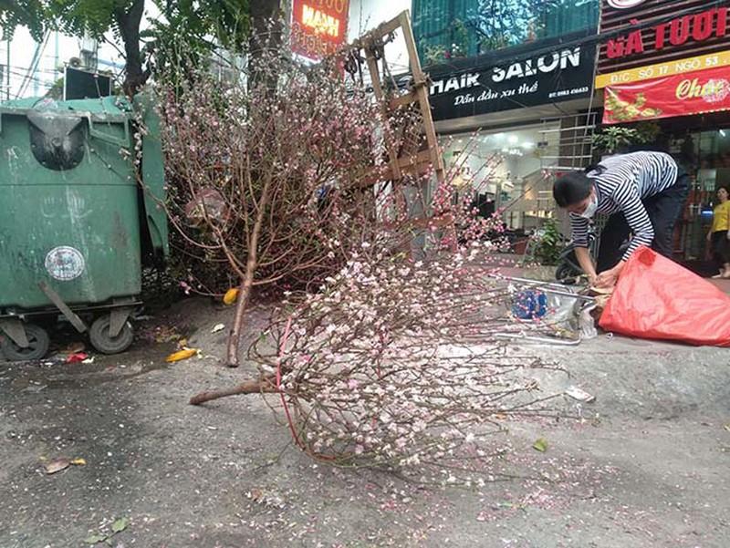 Màn chặt đào đầy ý thức được dân mạng hết lời tán thưởng, ai cũng cần học theo-7