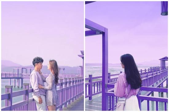 Hòn đảo màu tím độc đáo ở Hàn Quốc