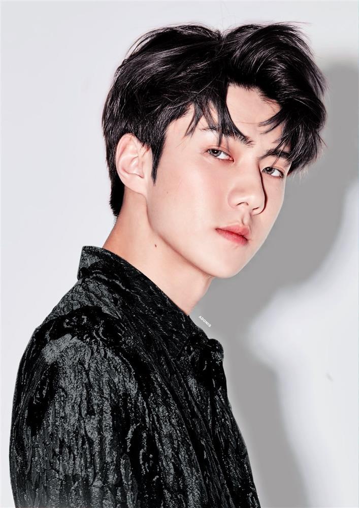 Netizen hỏi câu láo toét, Sehun EXO vẫn lịch sự trả lời-2
