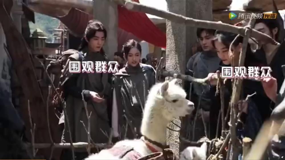 Tiêu Chiến vuốt ve những vị khách đáng yêu trên phim trường Đấu La Đại Lục-4