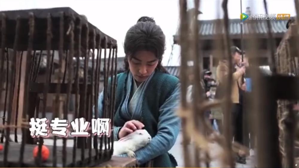 Tiêu Chiến vuốt ve những vị khách đáng yêu trên phim trường Đấu La Đại Lục-3