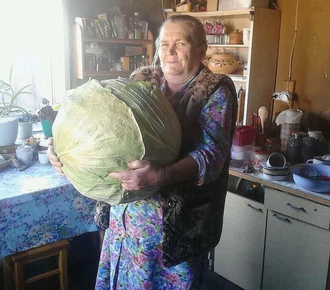 1001 món đồ khổng lồ làm chúng ta trở nên bé tẹo-8