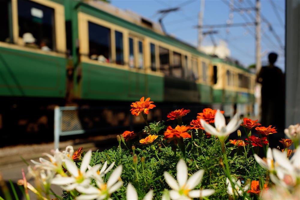 Tử vi 12 cung hoàng đạo thứ Hai ngày 22/2/2021: Cự Giải hạnh phúc, Nhân Mã chăm chỉ-3