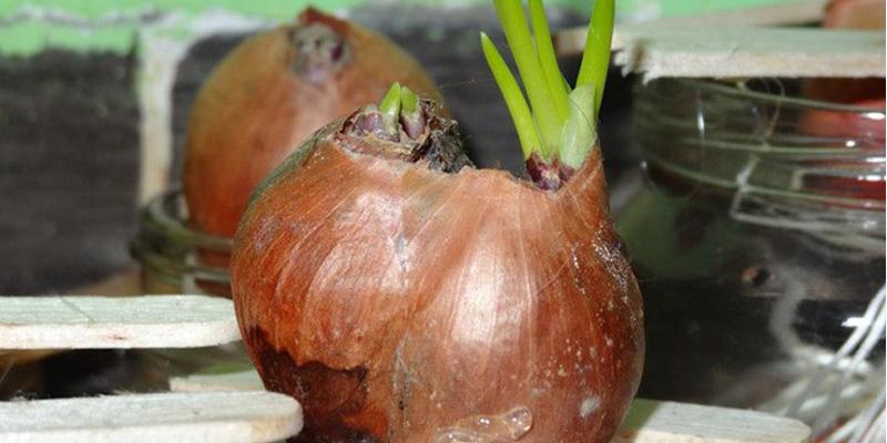 Nếu không muốn nhanh hỏng thì tuyệt đối đừng để những loại thực phẩm này trong tủ lạnh-4