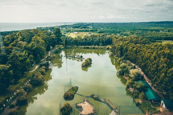 Thú tiêu tiền kỳ quặc của các siêu giàu châu Á-4