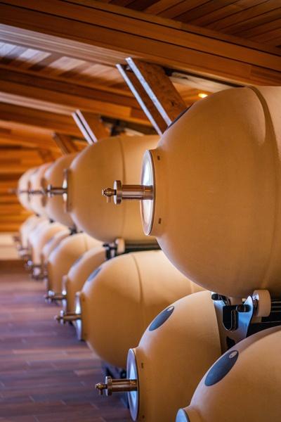 Thú tiêu tiền kỳ quặc của các siêu giàu châu Á-9