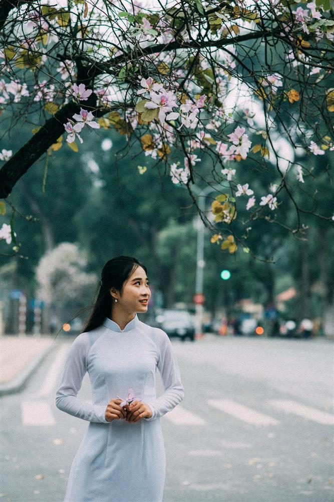 Mê mẩn sắc hoa đẹp đang nở rộ, dân tình chỉ muốn check-in sống ảo-4