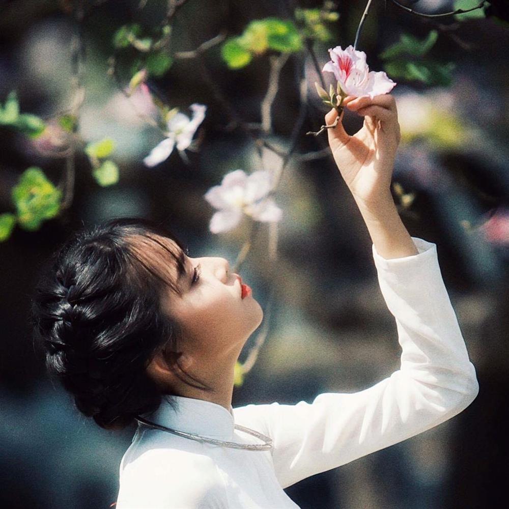 Mê mẩn sắc hoa đẹp đang nở rộ, dân tình chỉ muốn check-in sống ảo-5