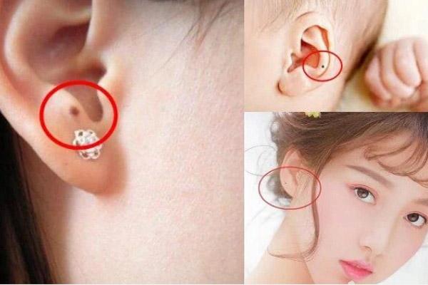 Con giáp sinh năm này từ nay đến Rằm tháng Giêng có cơ hội thăng chức-4