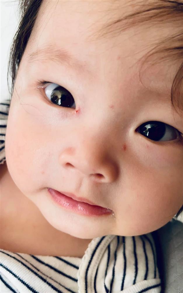 Pha Lê đuổi thẳng cổ người góp ý cách nuôi con-1