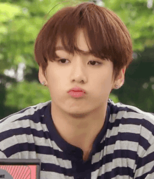 Thù cũ phải trả, fan BTS yêu cầu nghệ sĩ hài Jo Se Ho xin lỗi Jungkook-3