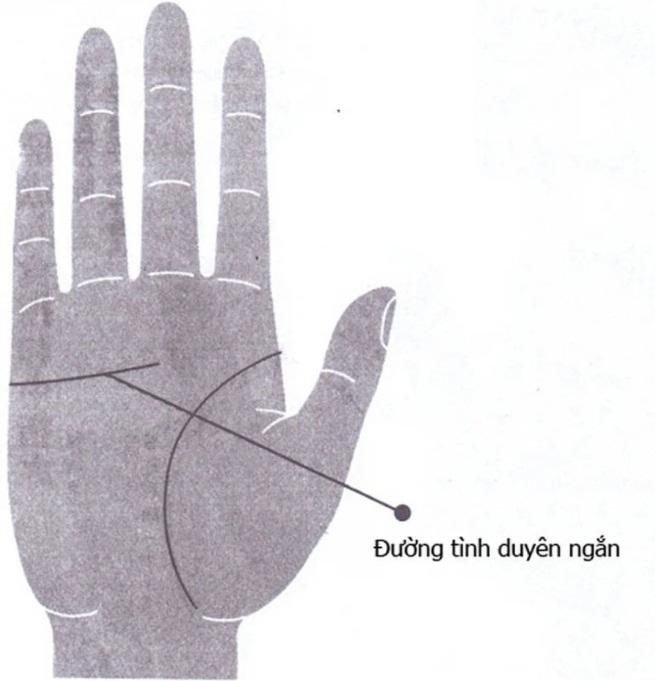 Nhìn vào bàn tay thấy 4 nét này bảo sao quý cô đơn chiếc cả đời-2
