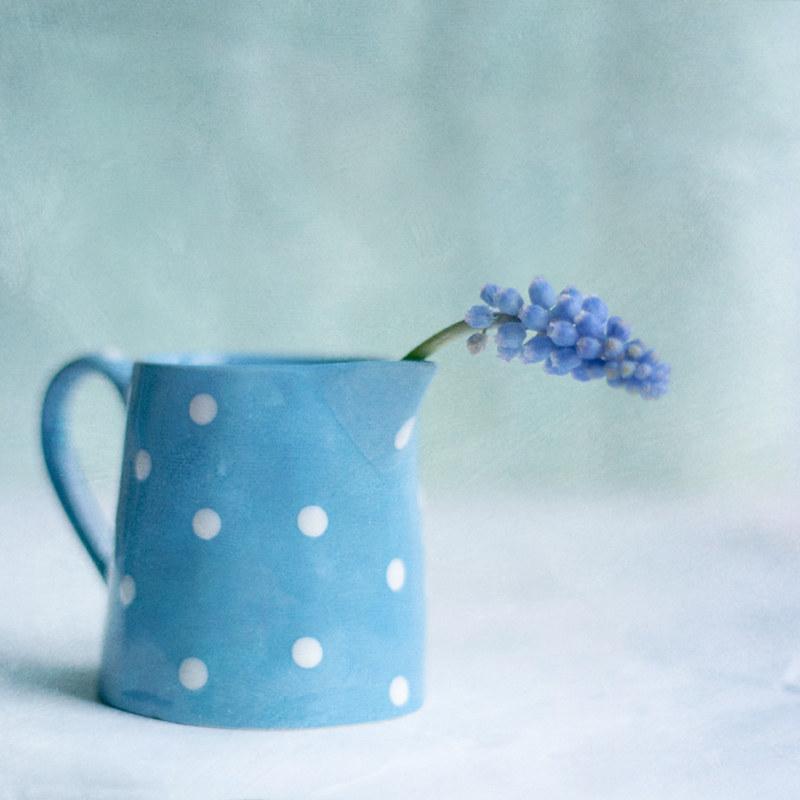 Tử vi 12 cung hoàng đạo thứ Sáu ngày 26/2/2021: Kim Ngưu bản lĩnh, Bảo Bình nhạy bén-1