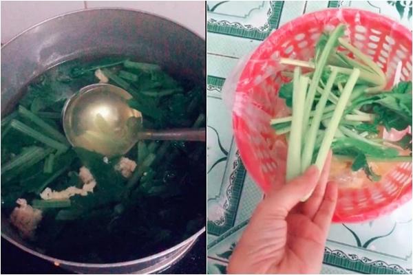 Loại khế tròn như trái nhót mọc thành chùm sai bó lấy thân cây khiến cư dân mạng trầm trồ-3