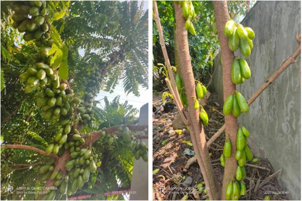 Sáng tạo quá đà, nhà hàng khiến thực khách mệt mỏi khi ăn, một đi không trở lại-15