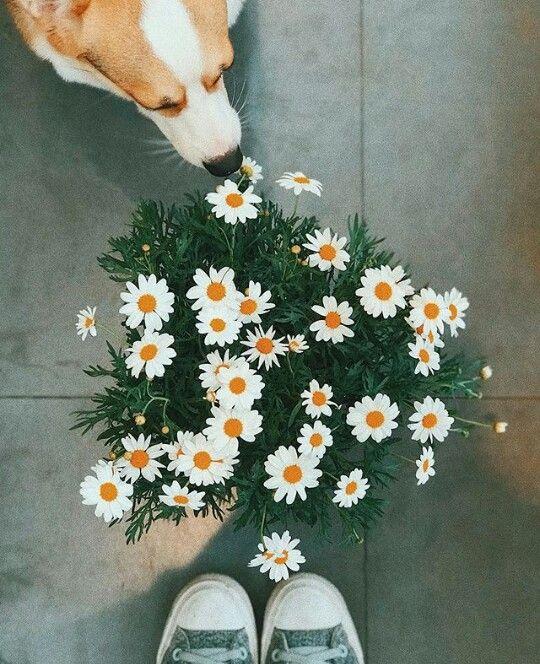 Tử vi 12 cung hoàng đạo thứ Bảy ngày 27/2/2021: Song Tử nóng tính, Ma Kết cẩn thận-3