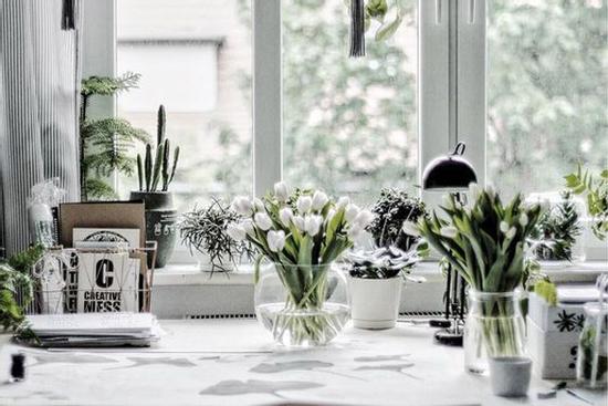 Tử vi 12 cung hoàng đạo Chủ nhật ngày 28/2/2021: Cự Giải vô tâm, Nhân Mã nóng nảy