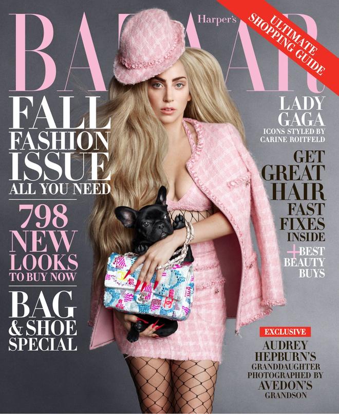 Tháng 9/2014, Lady Gaga từng mang thú cưng với tên gọi Miss Asia xuất hiện trên trang bìa Harper's Bazaar. Chia sẻ với tạp chí, giọng ca 